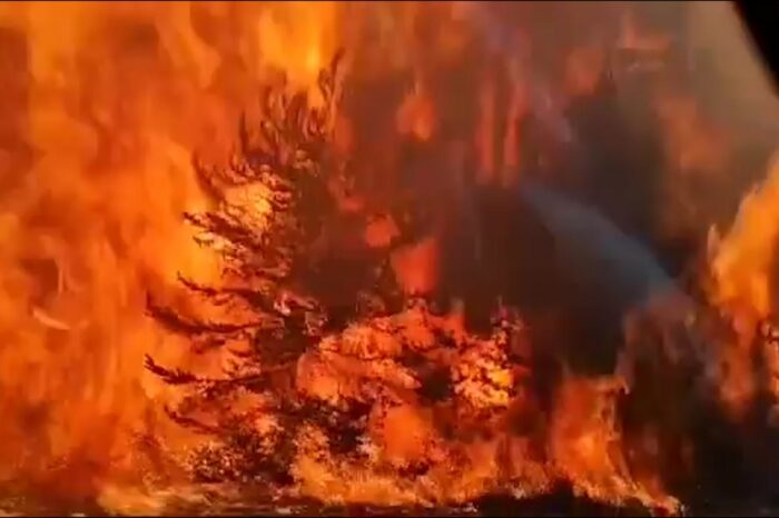 El Presidente viaja a Chubut para recorrer las zonas afectadas por incendios