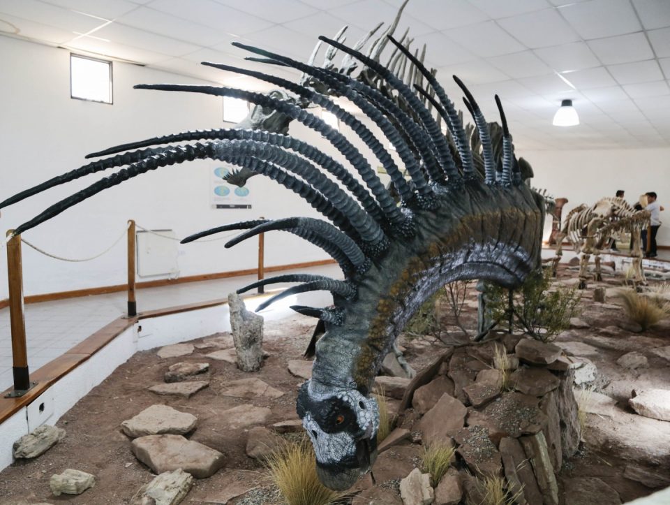 Esta imagen tiene un atributo alt vacío; el nombre del archivo es Museo-Ernesto-Bachmann-VEChocon-04FEB2019_MG_5877-4-960x723-1.jpg
