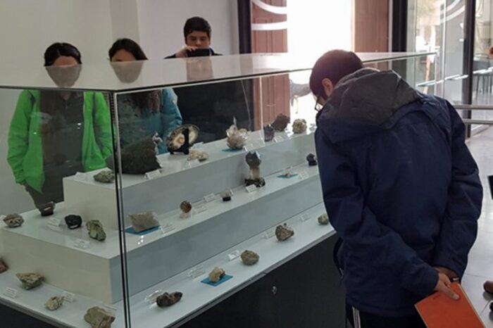 Se presentó el anteproyecto de la Ley de Museos de la provincia del Neuquén