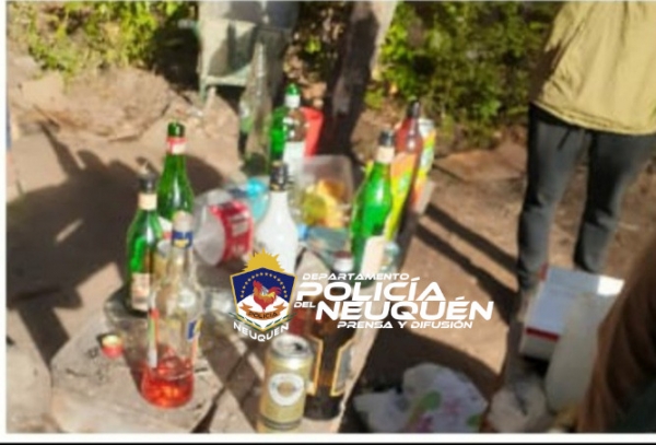 Personal Policial de Villa Traful desarticula una fiesta clandestina