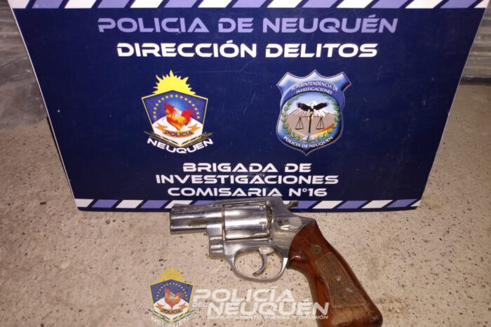 Policía secuestró en un allanamiento un arma y plantas de marihuana