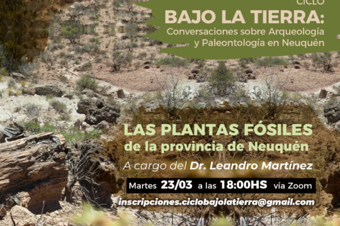 Charla abierta sobre las plantas fósiles de la provincia de Neuquén