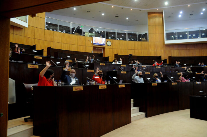 Interés Legislativo por la concreción del proyecto Ferrocarril Trasandino del Sur