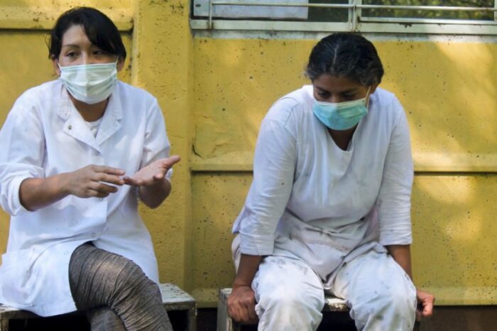 Destacan el rol de la mujer en la producción apícola