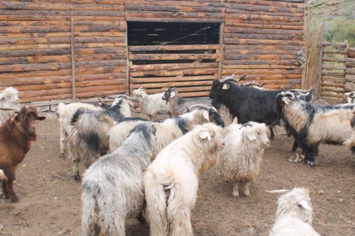 Desarrollo Rural: Aprueban dos proyectos más por 10 millones de pesos