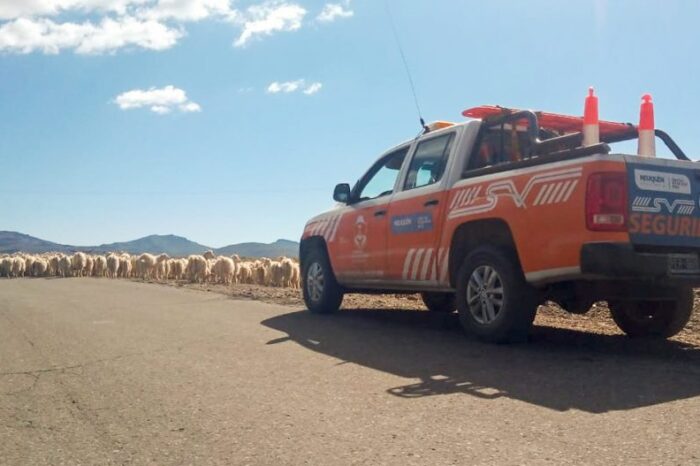 Seguridad Vial comenzó el operativo de trashumancia hacia tierras bajas