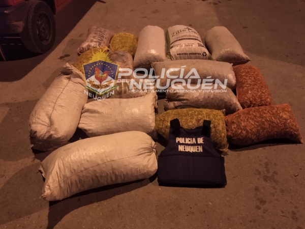 Policía y Guardafaunas secuestraron más de 300 Kilogramos de Piñones en Zapala