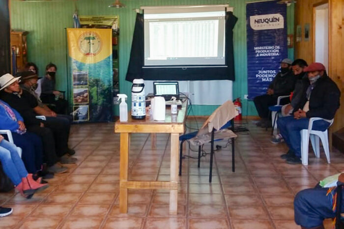 Logran vender un lote de lana de más de 100 productores del departamento Aluminé