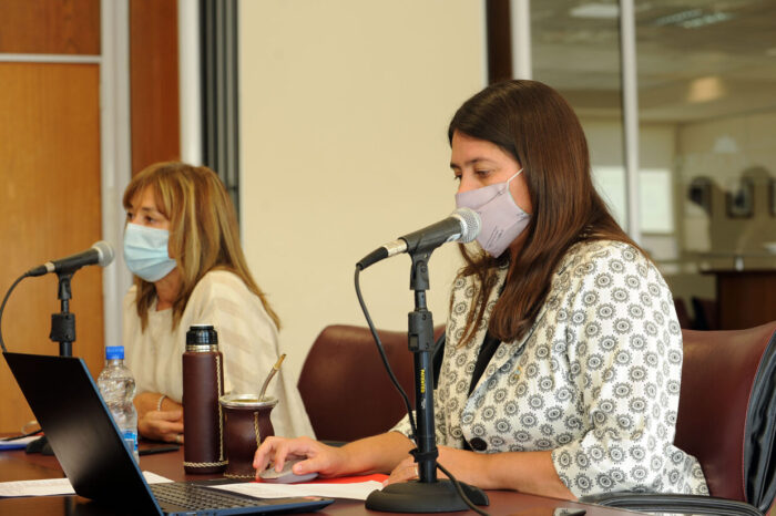 Despacho para solicitarle a la UNCO carreras de enfermería en Zapala