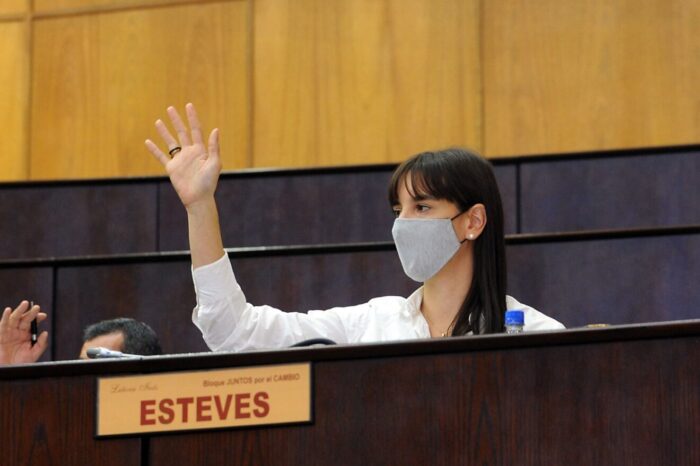 Instan al Ejecutivo a reglamentar la ley que crea el Registro de Violencia Familiar