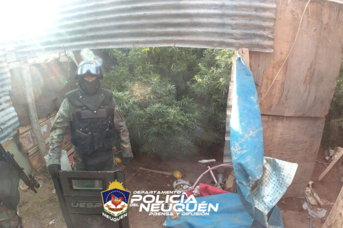 Megaoperativo Policial en Centenario: allanan 12 domicilios por estupefacientes, abuso de armas y lesiones