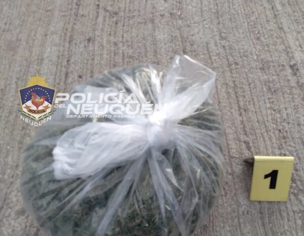 Neuquén: Secuestran 1kg de cannabis sativa y más de 15 mil pesos