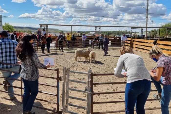 Se desarrolló en Zapala la Feria Integral de la Producción