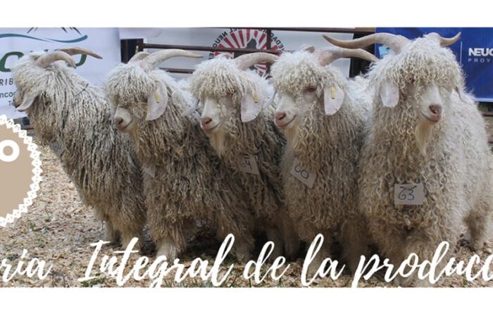 Hoy sábado dió comienzo la 11° Feria Integral de la Producción