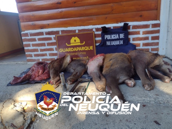 Destacamento Nahuel Huapi: Secuestraron carne en el interior de un vehículo