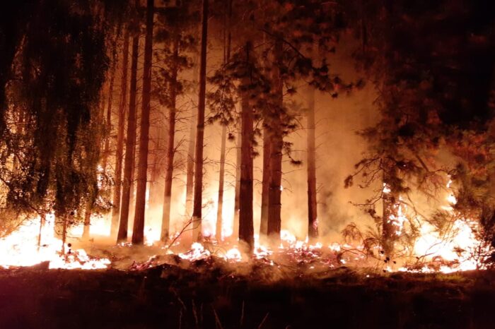Se desató un incendio forestal en una estancia próxima a Junín de los Andes
