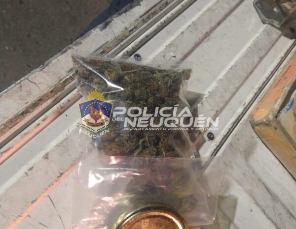 Demoran a dos sujetos con Cannabis Sativa en su poder