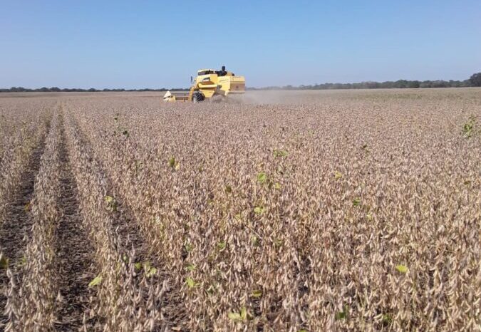 La suba de la soja y el maíz podría generar US$ 10.000 millones extra en exportaciones