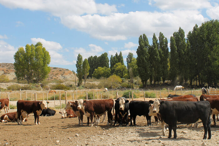 El programa GIRSAR fortalece el sistema agroindustrial de la provincia
