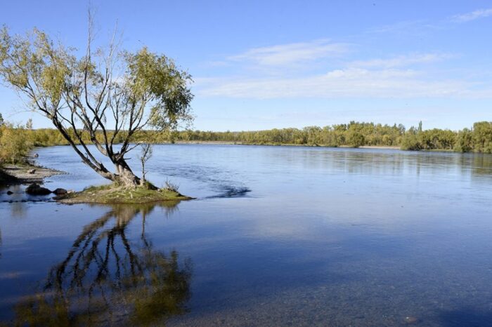 Continúa la encuesta digital Mi pique hoy