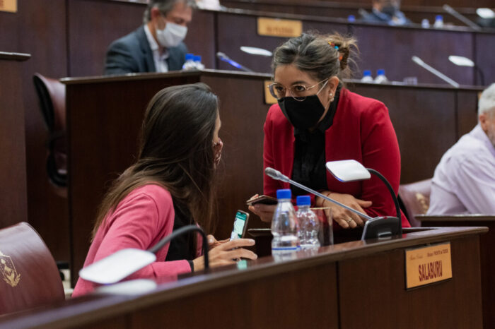 Solicitan información sobre el Registro provincial de Violencia Familiar y de Género