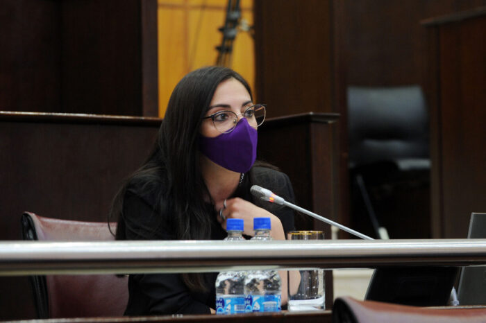Diputados del MPN, quieren jurados populares capacitados en perspectiva de género