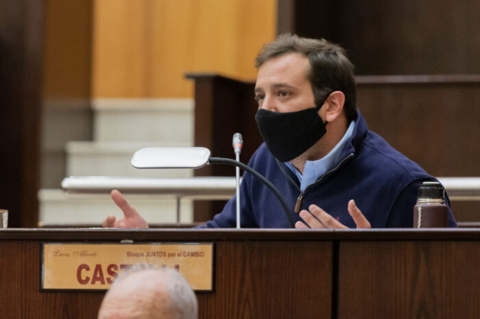 Buscan ampliar el uso medicinal del cannabis hacia los animales