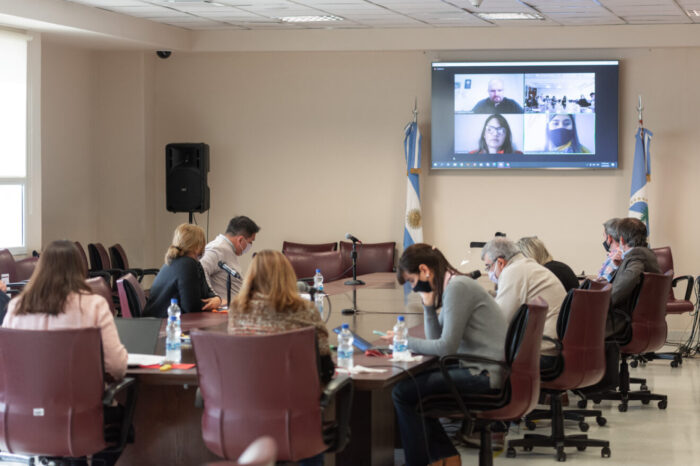 Continúa el debate de la ley de concientización sobre el cuidado animal