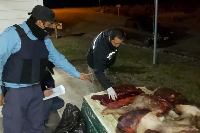 Caza furtiva: secuestraron unos 180 kilos de carne de ciervo y demoraron a dos personas que intentaron huir