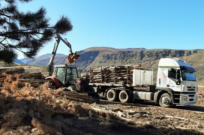 Operativo Leña 2021: ya se distribuyó casi el 80% de la leña en toda la provincia