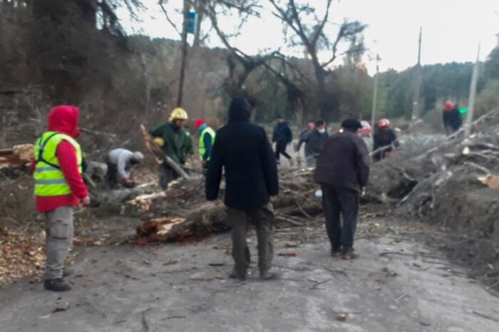 Trabajos coordinados por el temporal en el sur de la provincia
