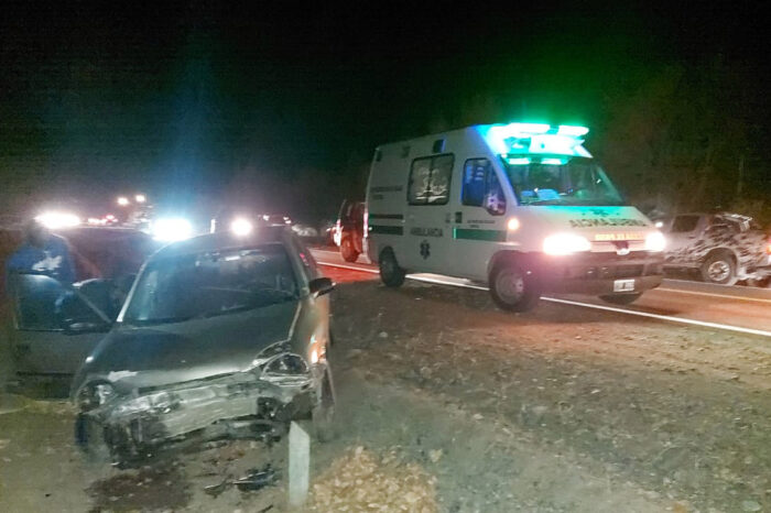 Junín de los Andes: Un caballo fue embestido por dos vehículos, provocándole la muerte de manera instantánea