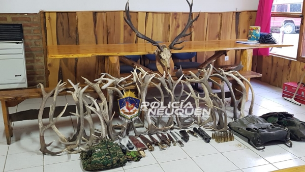 Villa la Angostura: Policía del Neuquén realizó allanamientos por caza furtiva