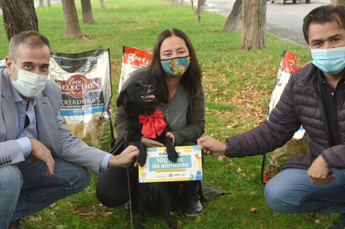 Se fortalece la promoción y defensa del derecho animal