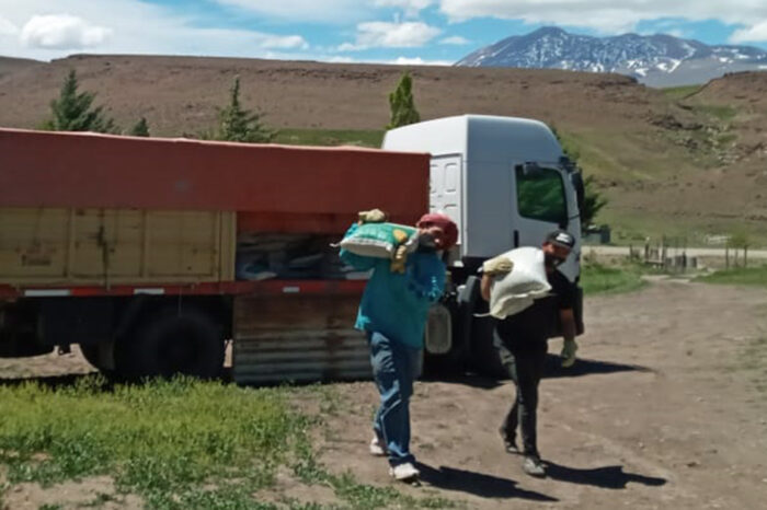 Apuestan a la producción forrajera local