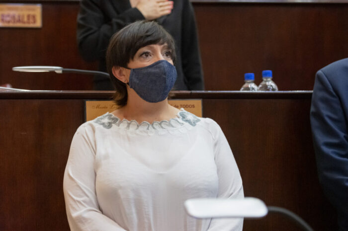 Diputados apoyan proyectos de investigación y desarrollo de la UNCo vinculados a la pandemia