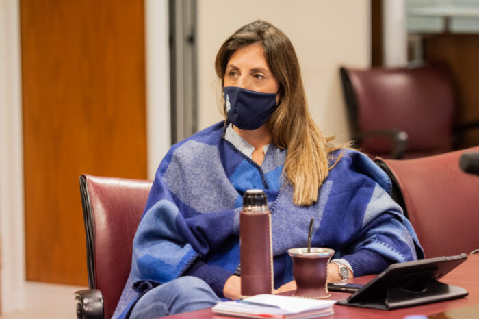 Diputados solicitan al Senado Nacional que se instituya el Día Nacional de la Trashumancia