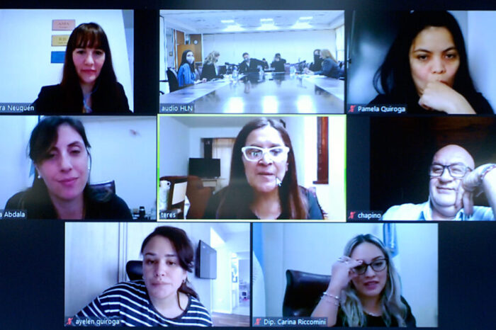 Avanza la creación del programa "Neuquén Concientiza con Perspectiva de Discapacidad”