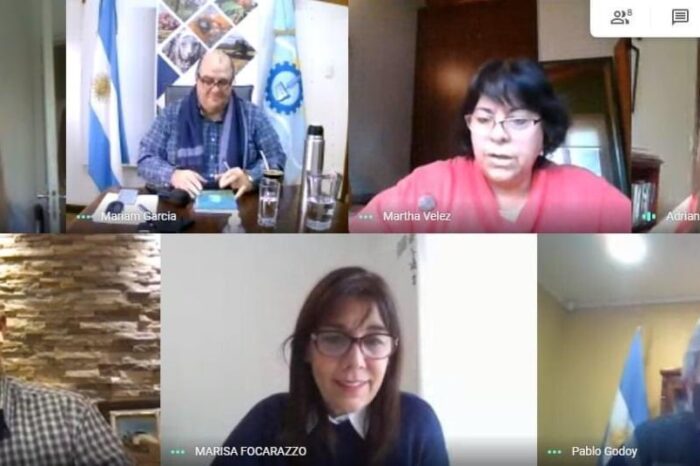 Patagonia consensúa necesidades y prioridades por la pandemia