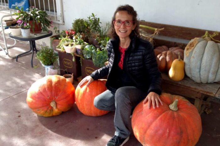 El Proda cerró el concurso anual Ciudad Zapallo