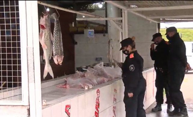 Rosario: Clausuraron una pescadería en la zona oeste que vendía nutrias y especies protegidas