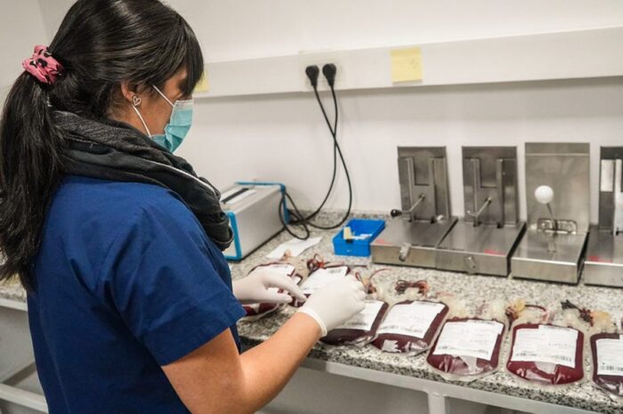 Conocé dónde donar sangre en la provincia del Neuquén