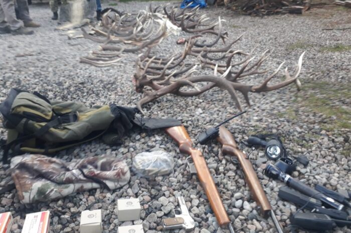 Allanan dos domicilios en el cual decomisan armas, municiones linternas,  piezas de faunas silvestres y demoran a una mujer