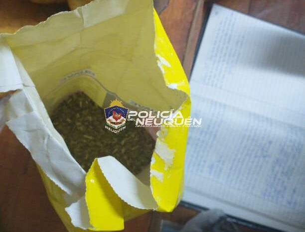 Junín de los Andes: Una mujer intentó ingresar droga para un demorado en la Comisaría 25°