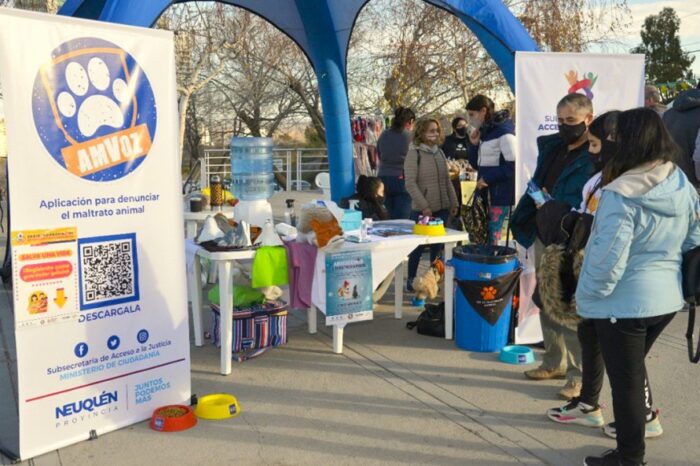 Estación animal y feria de adopciones en Plaza de las Banderas