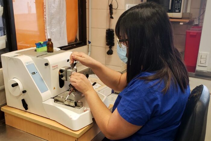 El hospital Castro Rendón incorporó un microtomo para Anatomía Patológica