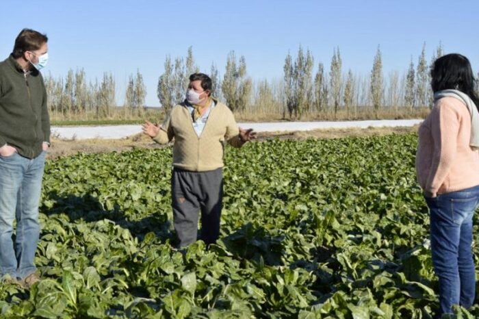 Destacan acciones productivas en Añelo y Los Chihuidos