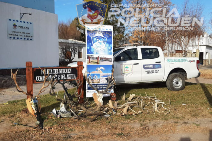 Furtivismo: Secuestran elementos productos de la caza furtiva en Piedra del Águila