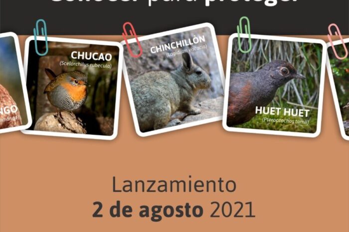 Llegan las fichas coleccionables “Conocer para proteger”