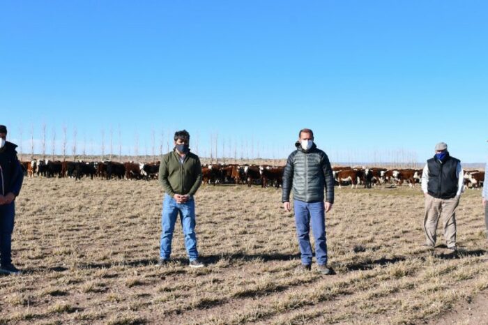 Gutiérrez visitó establecimientos productivos en Picún Leufú